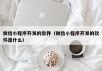 微信小程序开发的软件（微信小程序开发的软件是什么）