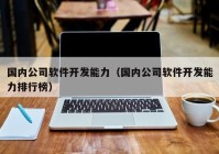 国内公司软件开发能力（国内公司软件开发能力排行榜）