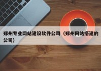 郑州专业网站建设软件公司（郑州网站搭建的公司）