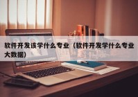 软件开发该学什么专业（软件开发学什么专业大数据）