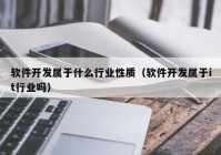 软件开发属于什么行业性质（软件开发属于it行业吗）